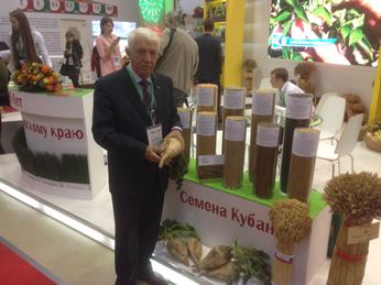 Рисунок