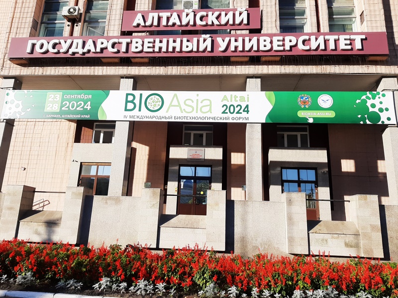 Рисунок